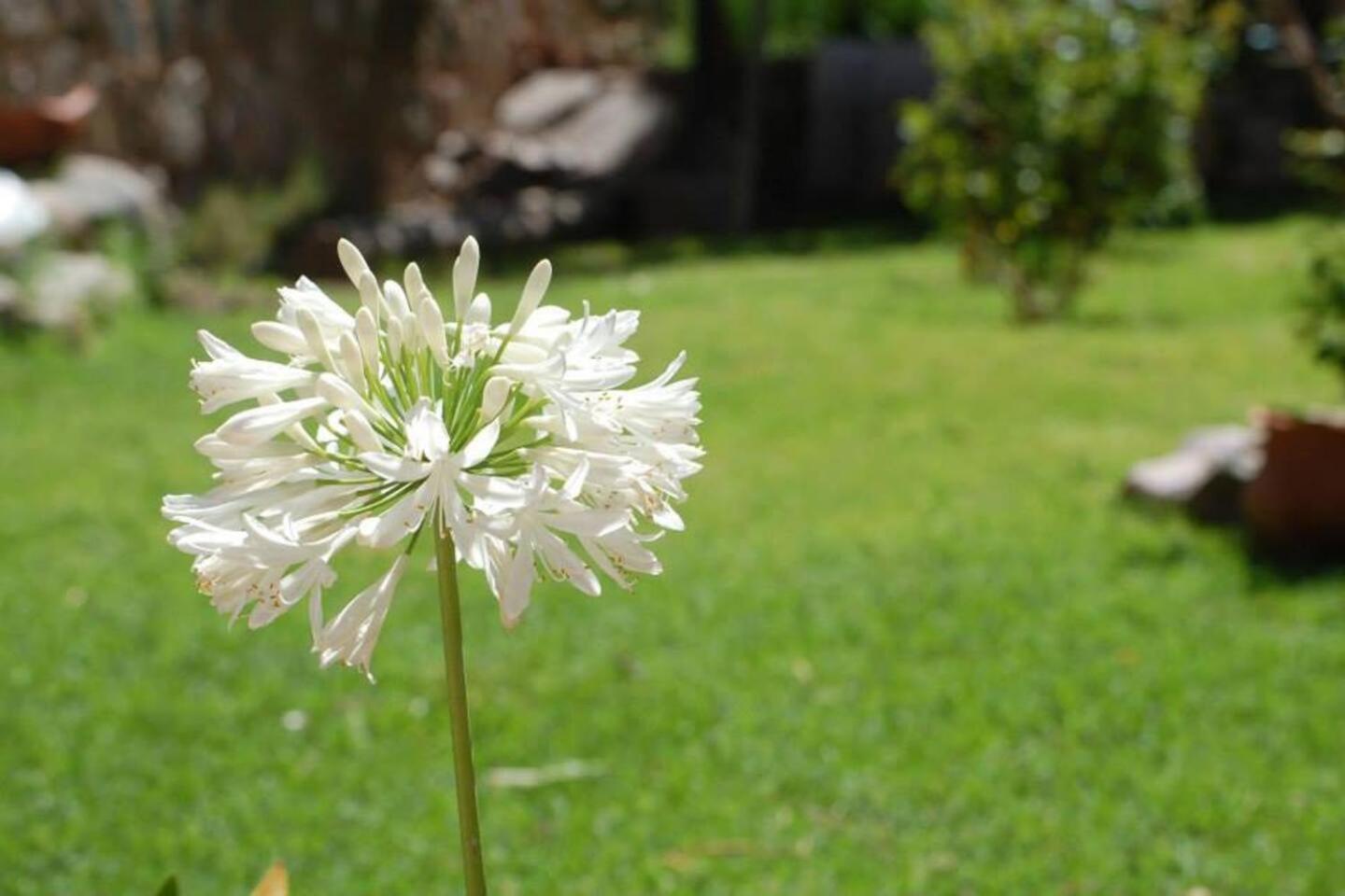Villa El Ensueno Tilcara Esterno foto