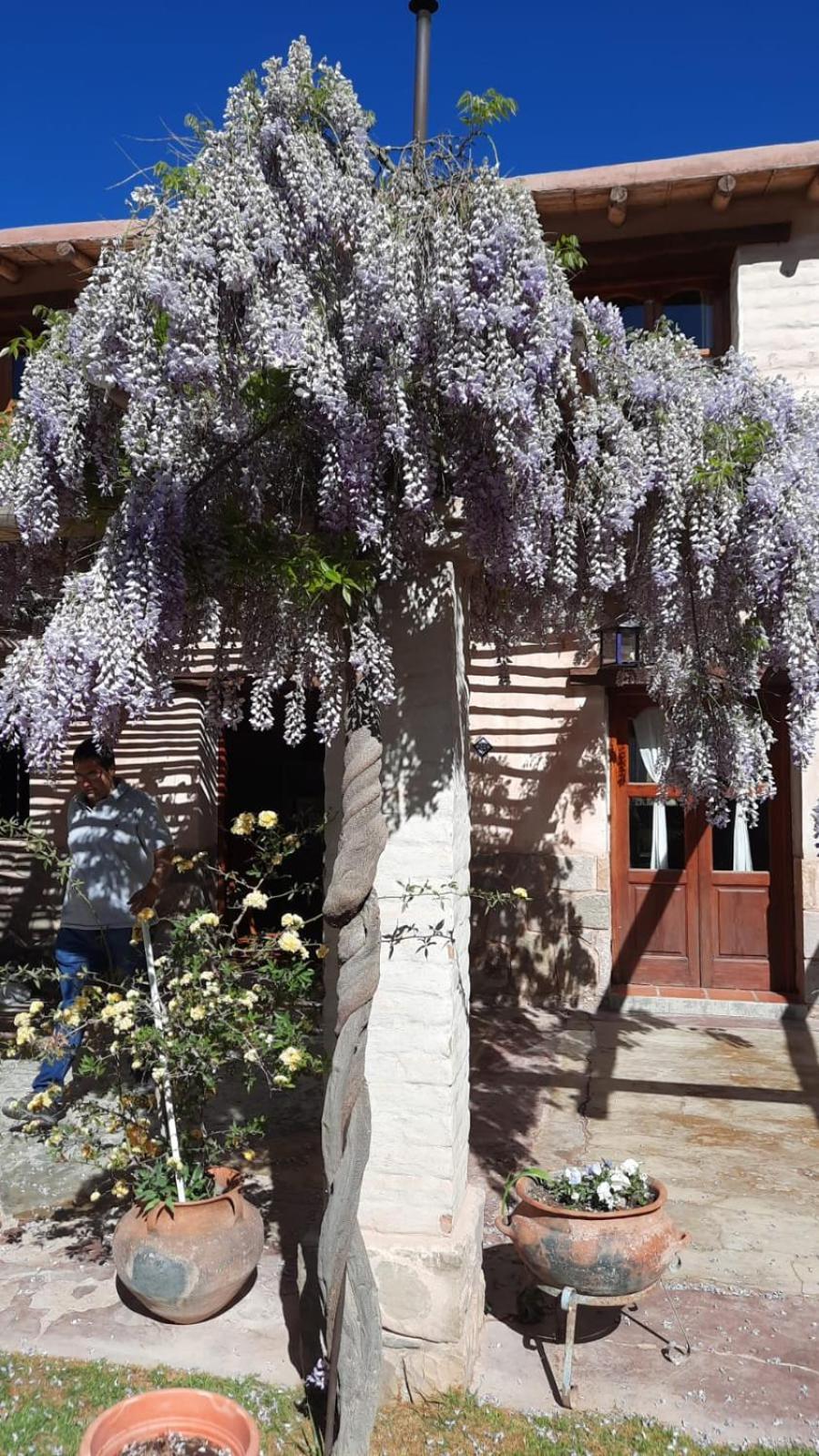 Villa El Ensueno Tilcara Esterno foto
